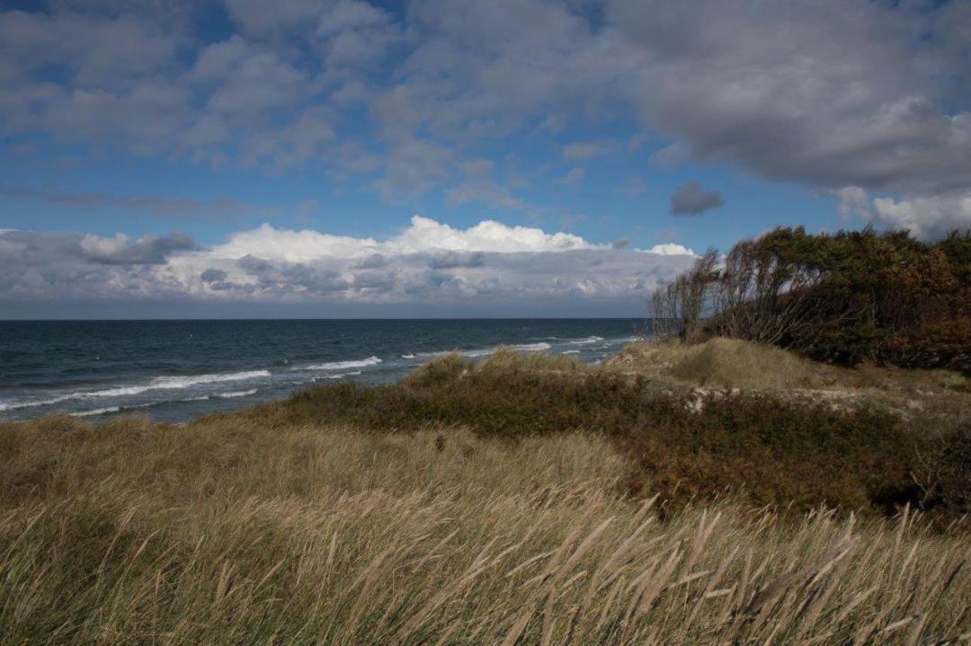 Studio 11 Im Haus Stranddistel, Modernes Studio Im 1 Og Fur 2 Personen In Zingst Exteriér fotografie